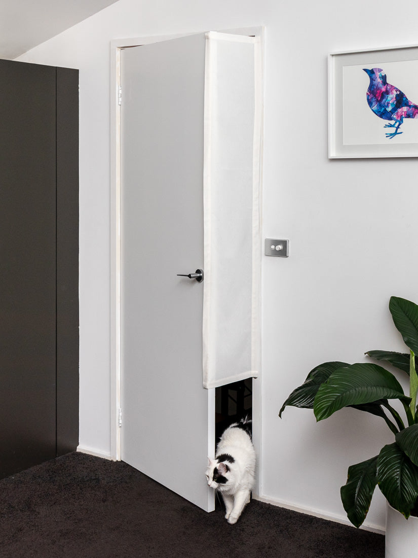 Removable hot sale cat door