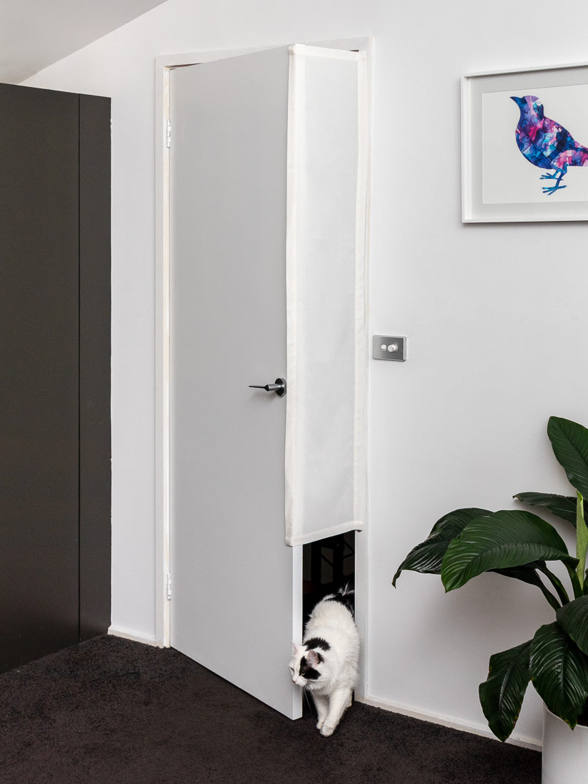 Pawtle Indoor Pet Door Privacy for You Portal for Them Pawtle Australia
